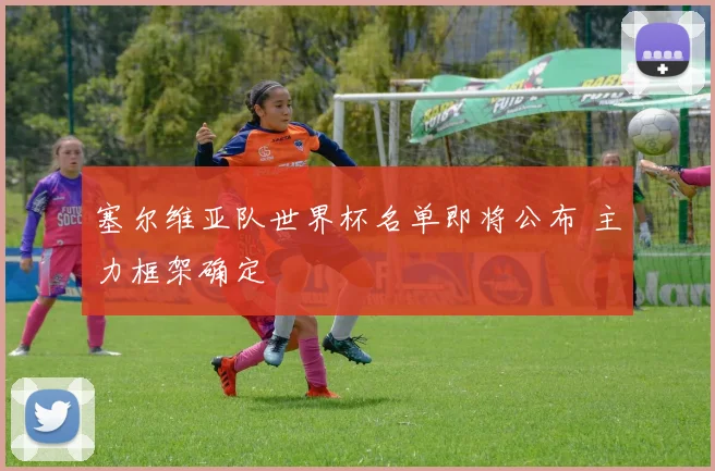 塞尔维亚队世界杯名单即将公布 主力框架确定