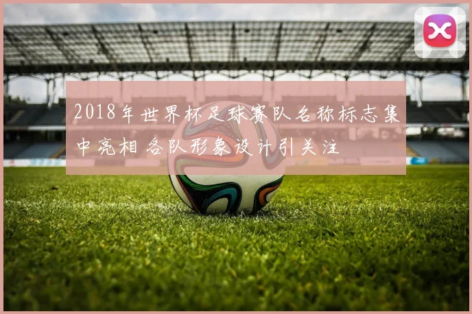 2018年世界杯足球赛队名称标志集中亮相 各队形象设计引关注