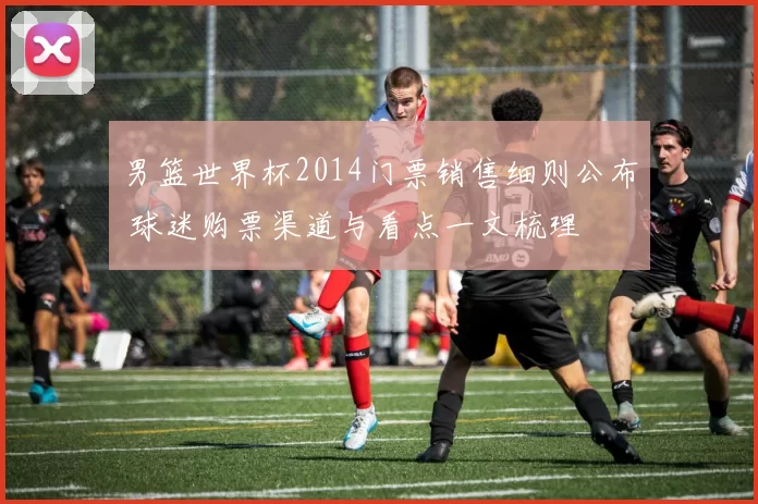 男篮世界杯2014门票销售细则公布 球迷购票渠道与看点一文梳理