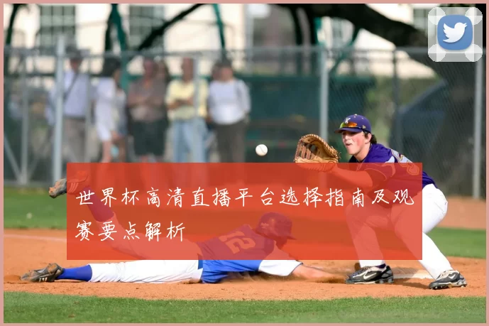 世界杯高清直播平台选择指南及观赛要点解析