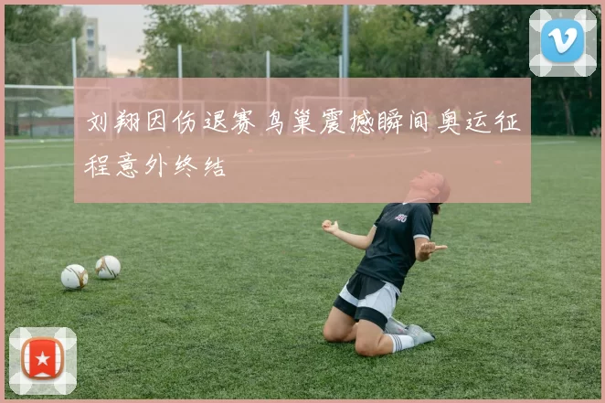 刘翔因伤退赛鸟巢震撼瞬间奥运征程意外终结