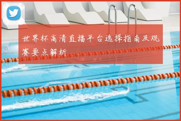 世界杯高清直播平台选择指南及观赛要点解析
