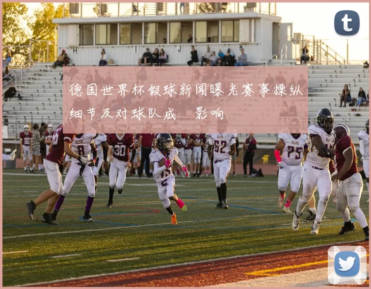 德国世界杯假球新闻曝光赛事操纵细节及对球队成績影响